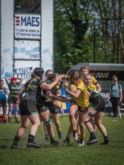 p1351581.jpg - JPEG - 797.6 ko - 2000×2664 px