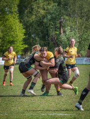 p1351583.jpg - JPEG - 915.2 ko - 2000×2664 px