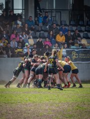 p1351679.jpg - JPEG - 783.1 ko - 2000×2664 px