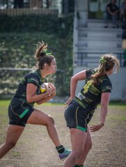 p1351692.jpg - JPEG - 633 ko - 2000×2664 px