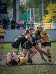 p1351697.jpg - JPEG - 773.8 ko - 2000×2665 px