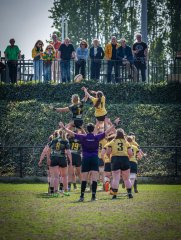 p1351781.jpg - JPEG - 1.2 Mo - 2000×2664 px