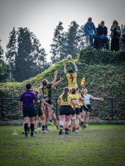 p1351782.jpg - JPEG - 926.4 ko - 2000×2664 px