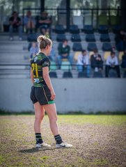 p1351820.jpg - JPEG - 770 ko - 2000×2665 px