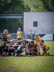 p1351831.jpg - JPEG - 891.1 ko - 2000×2664 px