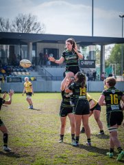 p1351865.jpg - JPEG - 975.5 ko - 2000×2664 px