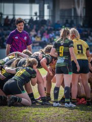 p1351867.jpg - JPEG - 901.4 ko - 2000×2664 px