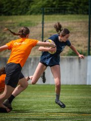 p1363672.jpg - JPEG - 669.9 ko - 2000×2664 px