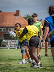 p1363983.jpg - JPEG - 748.7 ko - 2000×2664 px