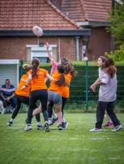 p1364429.jpg - JPEG - 787.6 ko - 2000×2664 px