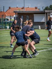 p1364536.jpg - JPEG - 919.4 ko - 2000×2665 px