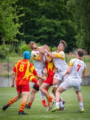 p1374991-2.jpg - JPEG - 906.6 ko - 2000×2664 px