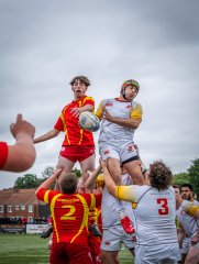 p1374995-2.jpg - JPEG - 588.6 ko - 2000×2664 px