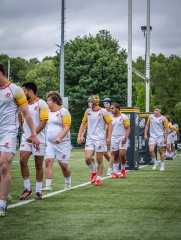 p1375004-2.jpg - JPEG - 833.5 ko - 2000×2664 px