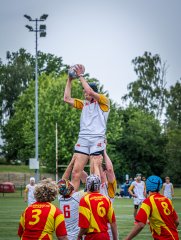 p1375295.jpg - JPEG - 744.2 ko - 2000×2664 px