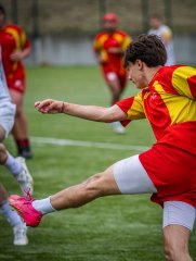 p1375388.jpg - JPEG - 574 ko - 2000×2665 px