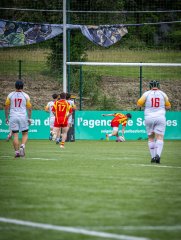 p1375431.jpg - JPEG - 933.4 ko - 2000×2664 px