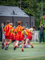 p1375449.jpg - JPEG - 842.9 ko - 2000×2664 px