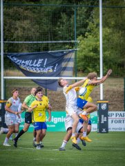 p1480517.jpg - JPEG - 774.4 ko - 2000×2664 px