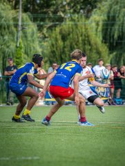 p1491022.jpg - JPEG - 777.2 ko - 2000×2664 px