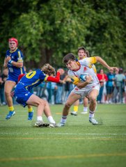 p1491112.jpg - JPEG - 741.2 ko - 2000×2665 px