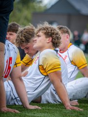 p1491195.jpg - JPEG - 668.8 ko - 2000×2664 px