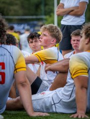 p1491205.jpg - JPEG - 546 ko - 2000×2664 px