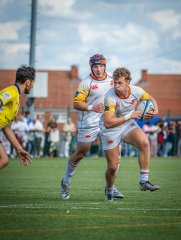 p1491356.jpg - JPEG - 600.8 ko - 2000×2664 px