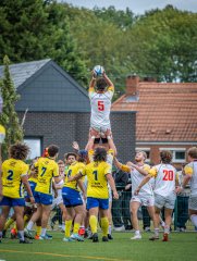 p1491447.jpg - JPEG - 932 ko - 2000×2664 px