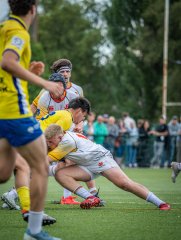 p1491464.jpg - JPEG - 777.9 ko - 2000×2664 px