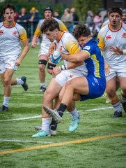 p1491519.jpg - JPEG - 847.4 ko - 2000×2665 px