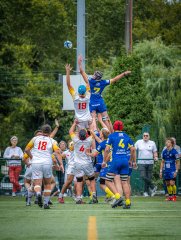 p1491532.jpg - JPEG - 945.6 ko - 2000×2664 px