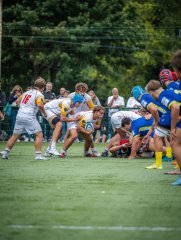 p1491536.jpg - JPEG - 728.9 ko - 2000×2664 px