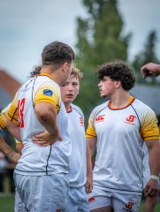 p1491561.jpg - JPEG - 572.6 ko - 2000×2664 px