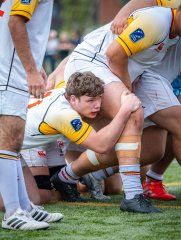 p1491576.jpg - JPEG - 827.3 ko - 2000×2664 px