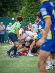 p1491624.jpg - JPEG - 799.8 ko - 2000×2664 px