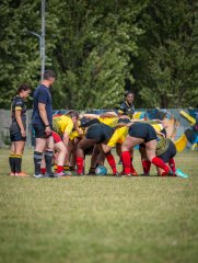 p1492501.jpg - JPEG - 736.1 ko - 2000×2664 px