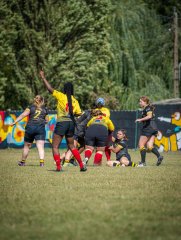 p1492506.jpg - JPEG - 782.8 ko - 2000×2664 px