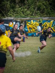 p1492589.jpg - JPEG - 744.8 ko - 2000×2664 px