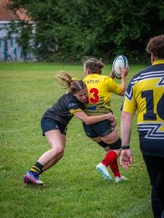 p1492767.jpg - JPEG - 932.2 ko - 2000×2665 px