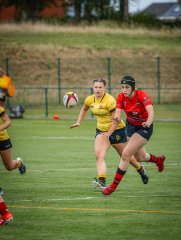 p1493162.jpg - JPEG - 692.1 ko - 2000×2664 px