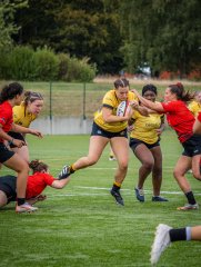 p1493175.jpg - JPEG - 779.5 ko - 2000×2664 px