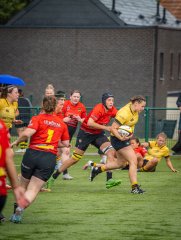 p1493227.jpg - JPEG - 682.9 ko - 2000×2664 px