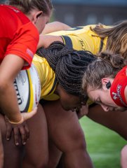 p1503493.jpg - JPEG - 650.1 ko - 2000×2664 px