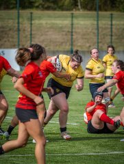 p1503537.jpg - JPEG - 752.5 ko - 2000×2664 px