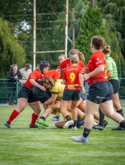 p1503782.jpg - JPEG - 935.5 ko - 2000×2665 px