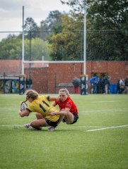 p1503876.jpg - JPEG - 933.7 ko - 2000×2664 px