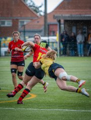 p1503927.jpg - JPEG - 928.9 ko - 2000×2664 px