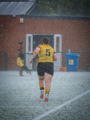 p1504074.jpg - JPEG - 915 ko - 2000×2664 px