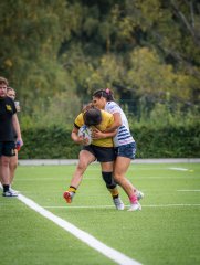 p1504337.jpg - JPEG - 701.7 ko - 2000×2665 px